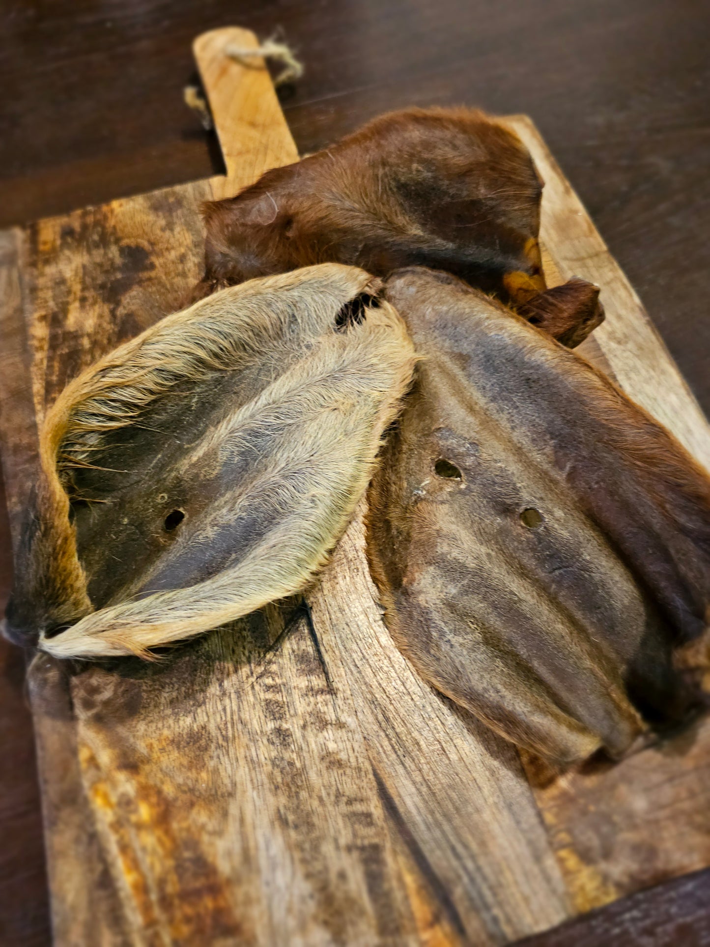 Hairy Beef Ears