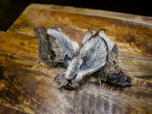 Hairy Kangaroo Ears
