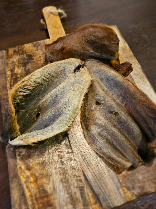 Hairy Beef Ears
